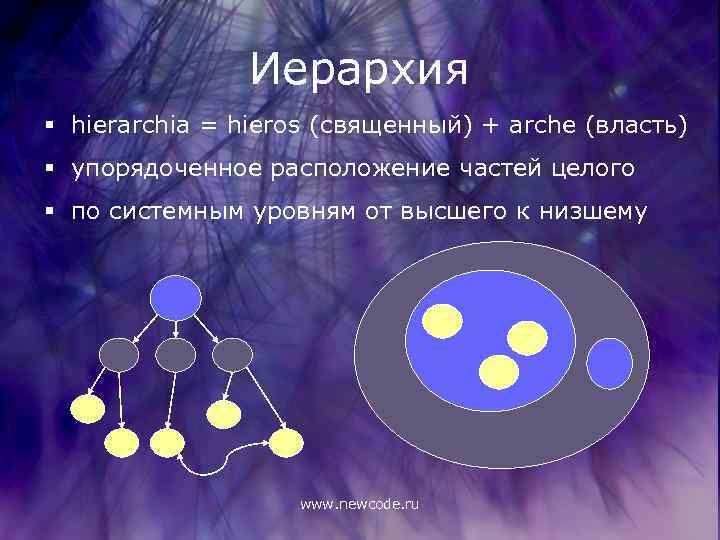 Иерархия § hierarchia = hieros (священный) + arche (власть) § упорядоченное расположение частей целого