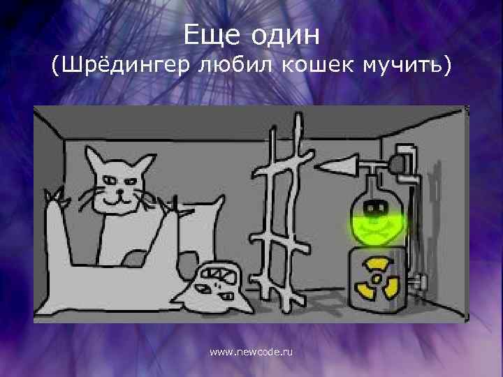 Еще один (Шрёдингер любил кошек мучить) www. newcode. ru 