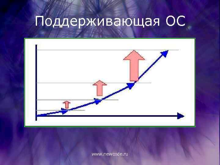 Поддерживающая ОС www. newcode. ru 
