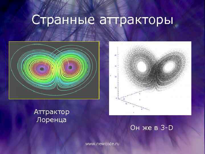 Странные аттракторы Аттрактор Лоренца Он же в 3 -D www. newcode. ru 