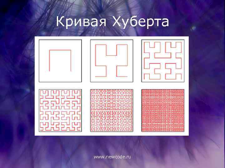 Кривая Хуберта www. newcode. ru 