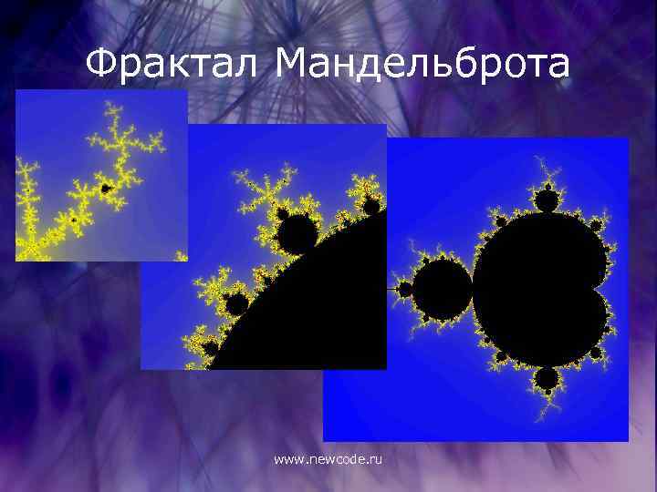 Фрактал Мандельброта www. newcode. ru 