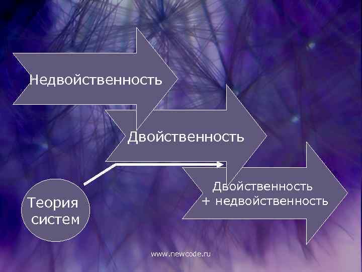 Недвойственность Двойственность Теория систем Двойственность + недвойственность www. newcode. ru 