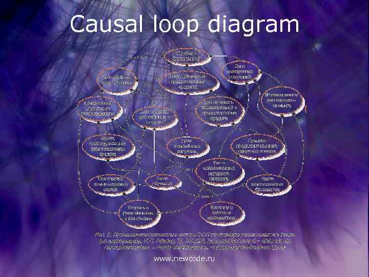 Causal loop diagram www. newcode. ru 