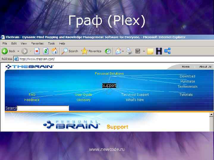 Граф (Plex) www. newcode. ru 