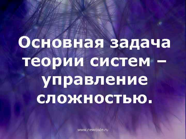 Основная задача теории систем – управление сложностью. www. newcode. ru 