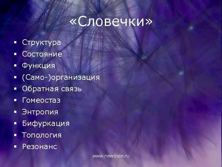  «Словечки» § Структура § Состояние § Функция § (Само-)организация § Обратная связь §