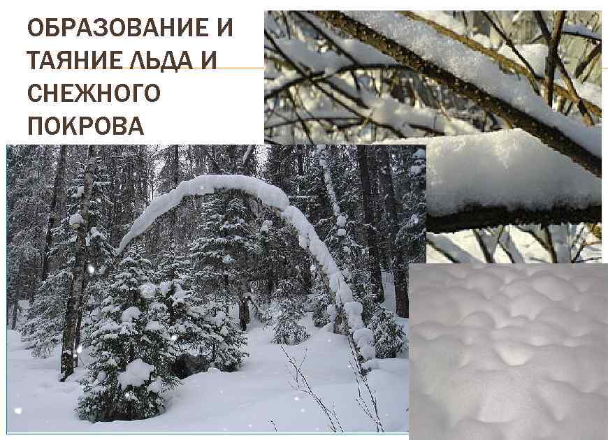 ОБРАЗОВАНИЕ И ТАЯНИЕ ЛЬДА И СНЕЖНОГО ПОКРОВА 