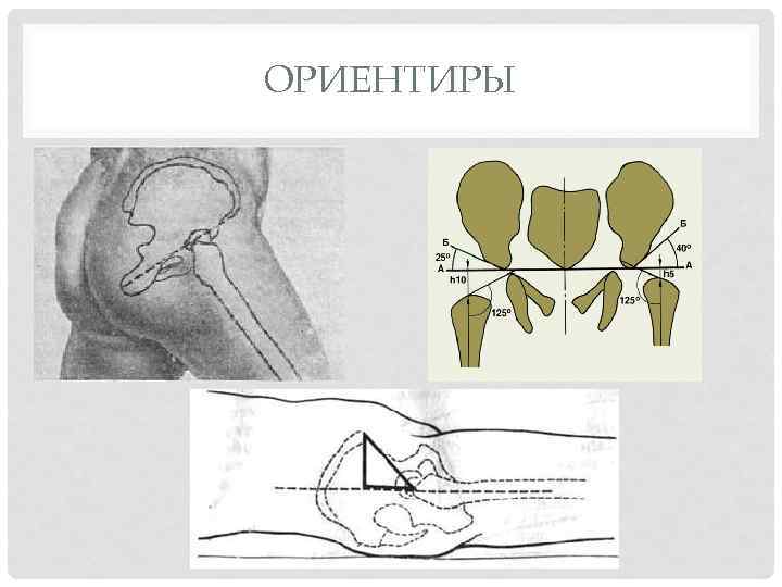 ОРИЕНТИРЫ 