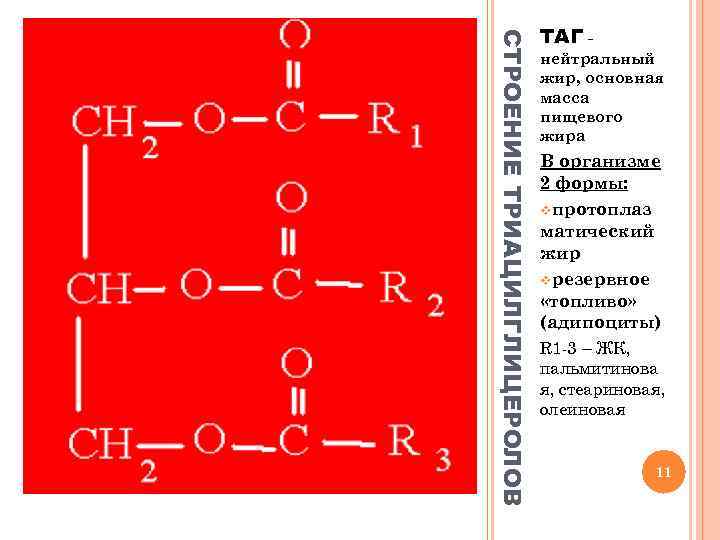 СТРОЕНИЕ ТРИАЦИЛГЛИЦЕРОЛОВ ТАГ - нейтральный жир, основная масса пищевого жира В организме 2 формы: