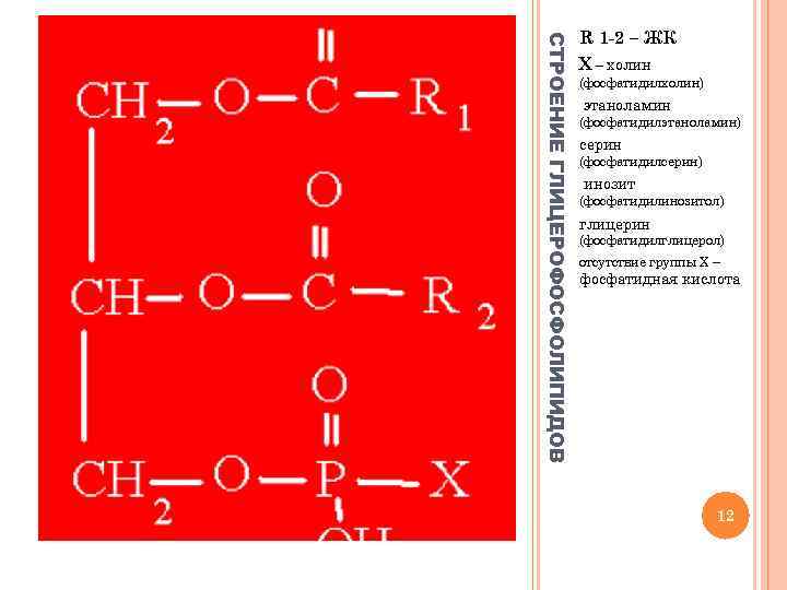 СТРОЕНИЕ ГЛИЦЕРОФОСФОЛИПИДОВ R 1 -2 – ЖК Х – холин (фосфатидилхолин) этаноламин (фосфатидилэтаноламин) серин