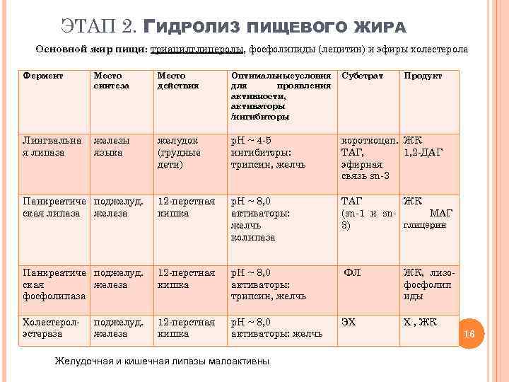 ЭТАП 2. ГИДРОЛИЗ ПИЩЕВОГО ЖИРА Основной жир пищи: триацилглицеролы, фосфолипиды (лецитин) и эфиры холестерола