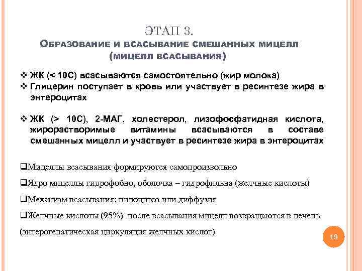 ЭТАП 3. ОБРАЗОВАНИЕ И ВСАСЫВАНИЕ СМЕШАННЫХ (МИЦЕЛЛ ВСАСЫВАНИЯ) МИЦЕЛЛ v ЖК (< 10 С)