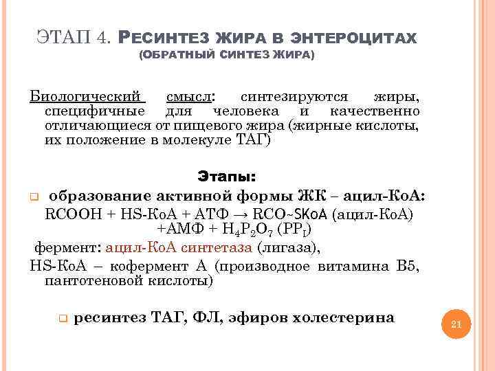 Ресинтез это. Ресинтез нейтрального жира роль. Синтез жиров в энтероцитах. Биологическая роль ресинтеза липидов. Ресинтез жира в стенке кишечника..