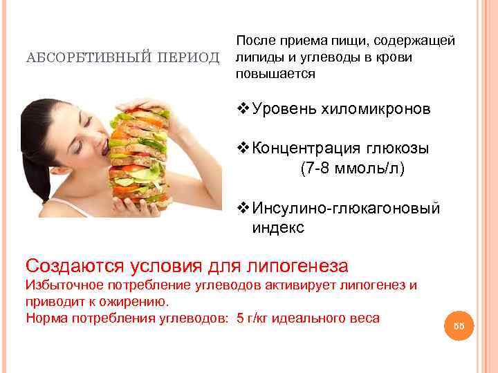 АБСОРБТИВНЫЙ ПЕРИОД После приема пищи, содержащей липиды и углеводы в крови повышается v. Уровень