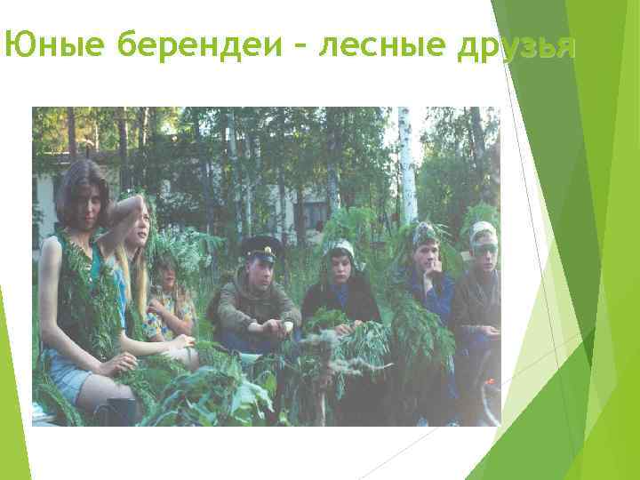 Юные берендеи – лесные друзья 