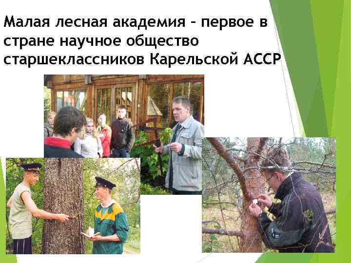 Малая лесная академия – первое в стране научное общество старшеклассников Карельской АССР 