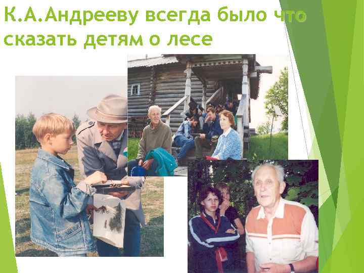 К. А. Андрееву всегда было что сказать детям о лесе 