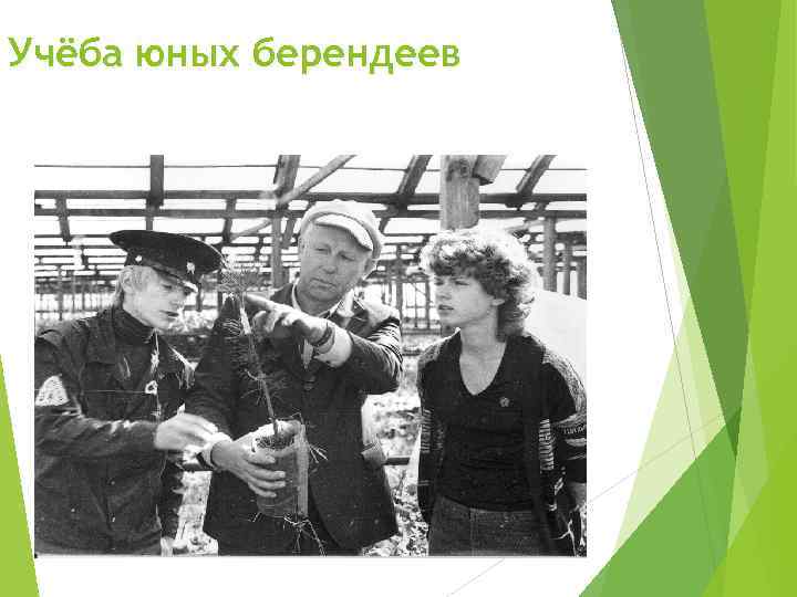 Учёба юных берендеев 