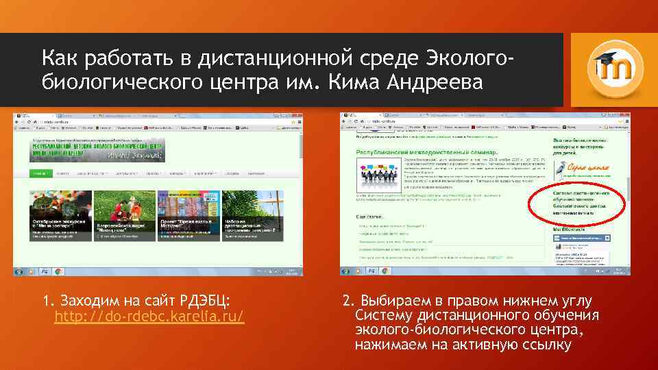 Как работать в дистанционной среде Экологобиологического центра им. Кима Андреева 1. Заходим на сайт