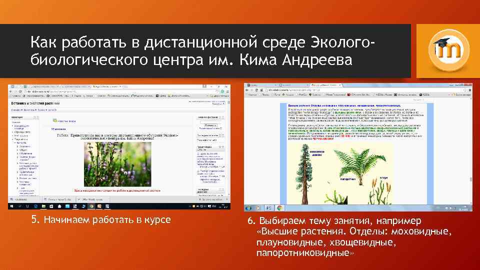 Как работать в дистанционной среде Экологобиологического центра им. Кима Андреева 5. Начинаем работать в