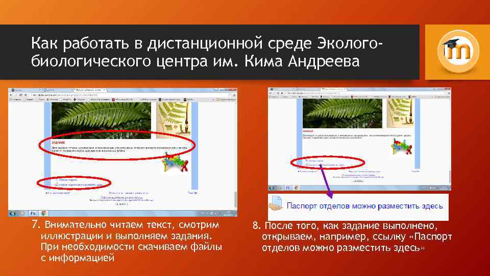 Как работать в дистанционной среде Экологобиологического центра им. Кима Андреева 7. Внимательно читаем текст,