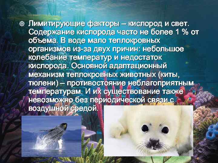  Лимитирующие факторы – кислород и свет. Содержание кислорода часто не более 1 %