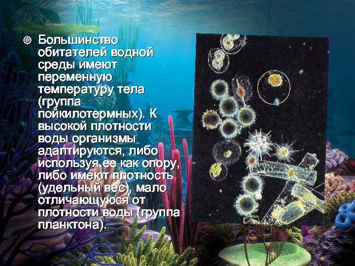  Большинство обитателей водной среды имеют переменную температуру тела (группа пойкилотермных). К высокой плотности