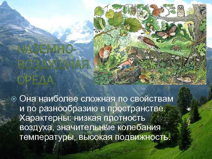  Она наиболее сложная по свойствам и по разнообразию в пространстве. Характерны: низкая плотность