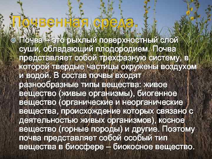 Почвенная среда. Почва – это рыхлый поверхностный слой суши, обладающий плодородием. Почва представляет собой