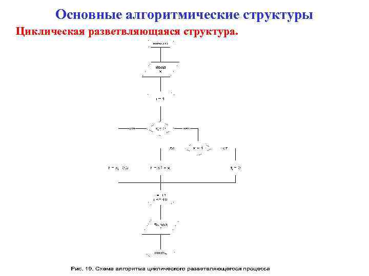 Основные алгоритмические структуры Циклическая разветвляющаяся структура. 