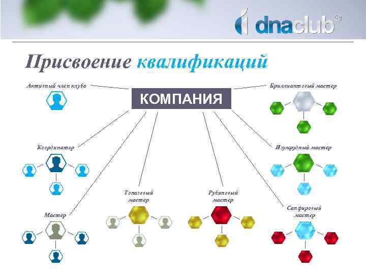 Присвоение квалификаций Активный член клуба Бриллиантовый мастер КОМПАНИЯ Координатор Изумрудный мастер Топазовый мастер Мастер