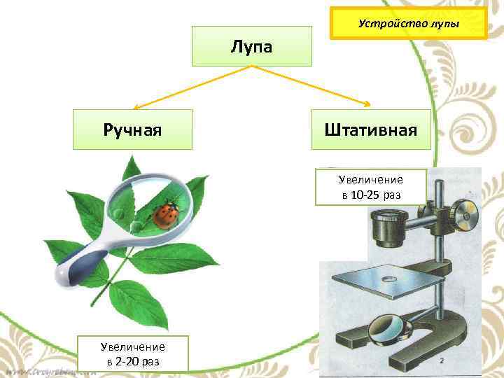 Науки о природе методы изучения природы