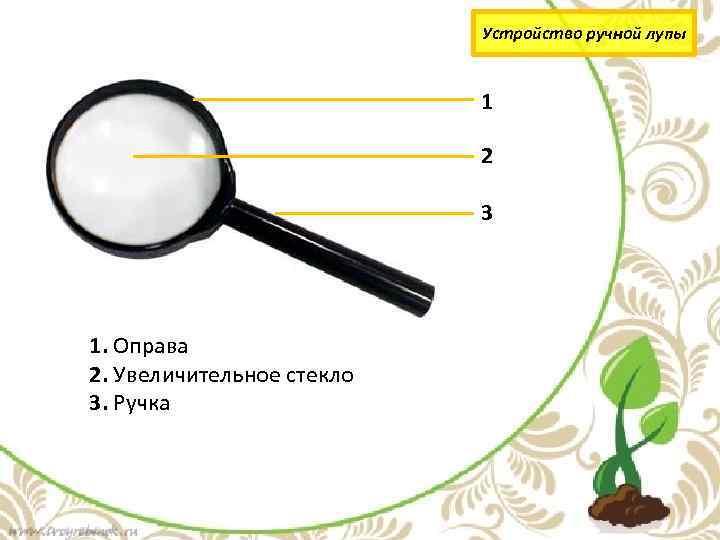 Устройство ручной лупы 1 2 3 1. Оправа 2. Увеличительное стекло 3. Ручка 