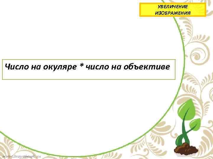 УВЕЛИЧЕНИЕ ИЗОБРАЖЕНИЯ Число на окуляре * число на объективе 