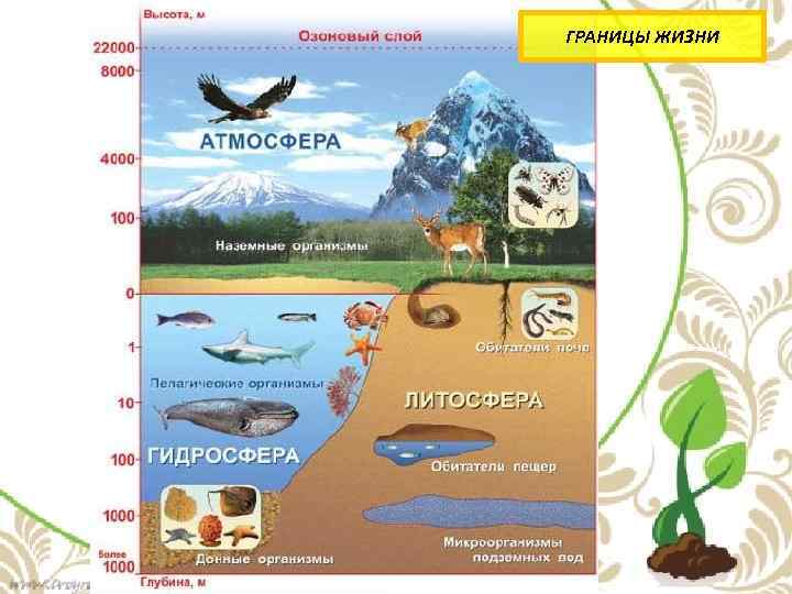 Человек и литосфера 5 класс технологическая карта