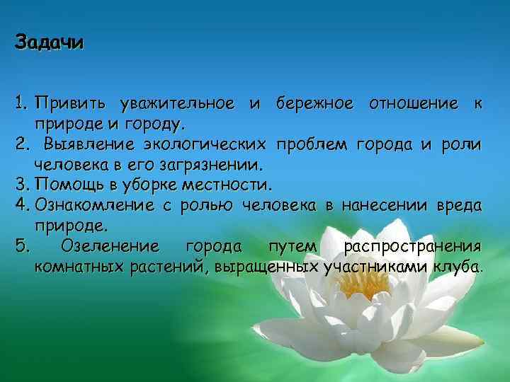 Задачи 1. Привить уважительное и бережное отношение к природе и городу. 2. Выявление экологических