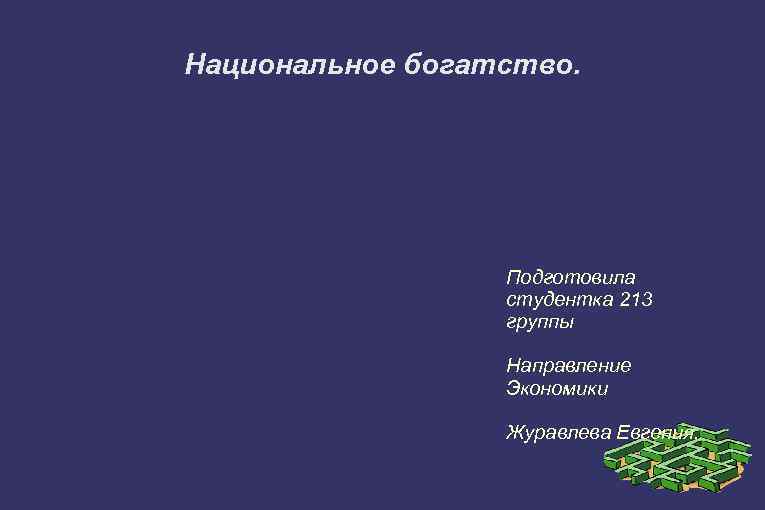 Национальное богатство. Подготовила студентка 213 группы Направление Экономики Журавлева Евгения. 