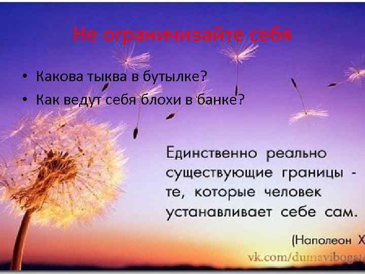 Не ограничивайте себя • Какова тыква в бутылке? • Как ведут себя блохи в