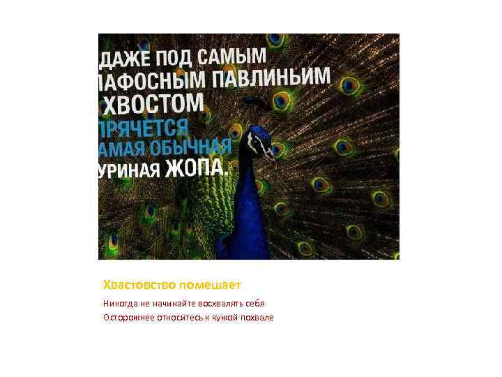 Хвастовство помешает Никогда не начинайте восхвалять себя Осторожнее относитесь к чужой похвале 