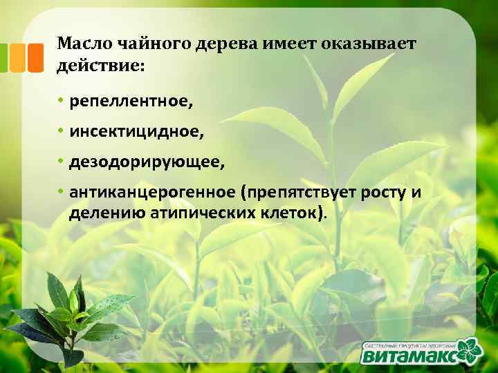 Масло чайного дерева имеет оказывает действие: • репеллентное, • инсектицидное, • дезодорирующее, • антиканцерогенное