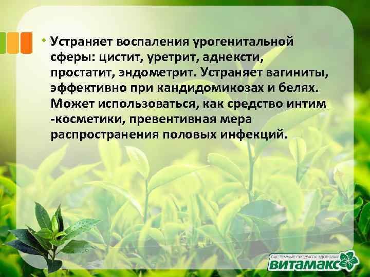  • Устраняет воспаления урогенитальной сферы: цистит, уретрит, аднексти, простатит, эндометрит. Устраняет вагиниты, эффективно