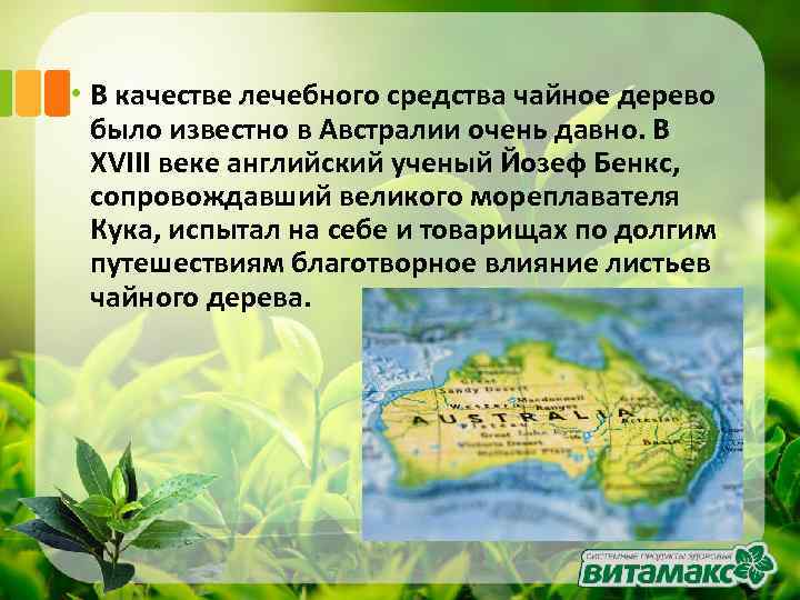  • В качестве лечебного средства чайное дерево было известно в Австралии очень давно.