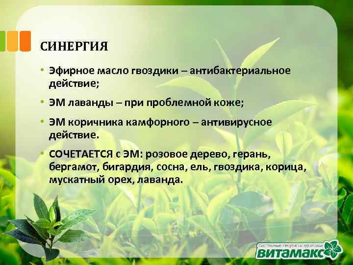 СИНЕРГИЯ • Эфирное масло гвоздики – антибактериальное действие; • ЭМ лаванды – при проблемной