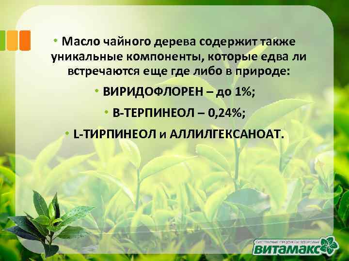  • Масло чайного дерева содержит также уникальные компоненты, которые едва ли встречаются еще