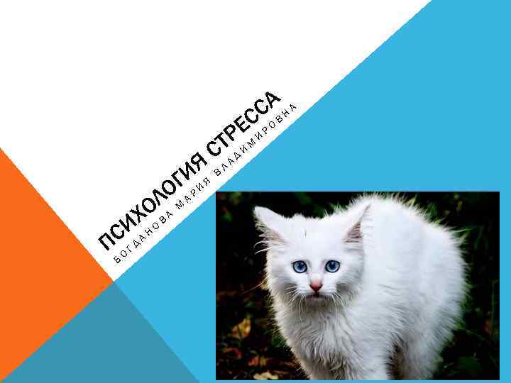 САВ Н А С РЕ Я И ОГА Р И ОЛА М Х ОВ