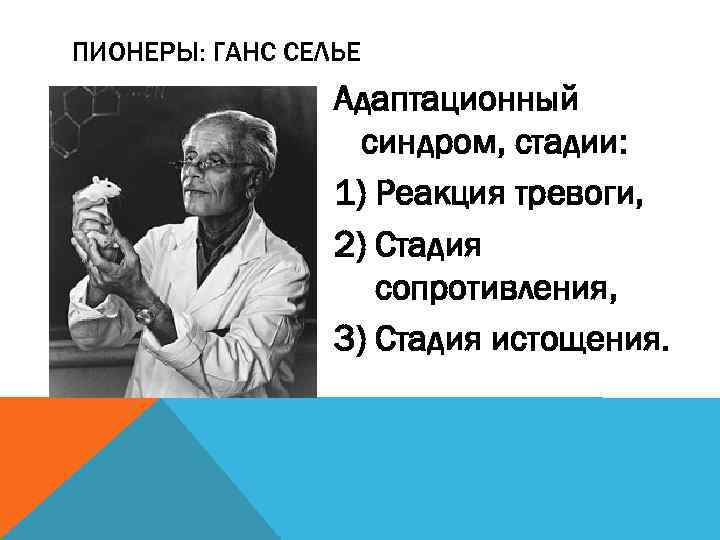 ПИОНЕРЫ: ГАНС СЕЛЬЕ Адаптационный синдром, стадии: 1) Реакция тревоги, 2) Стадия сопротивления, 3) Стадия