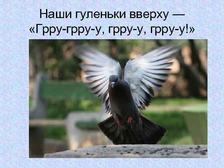 Наши гуленьки вверху — «Грру-грру-у, грру-у!» 