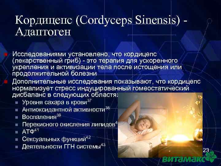 Кордицепс (Cordyceps Sinensis) Адаптоген n n Исследованиями установлено, что кордицепс (лекарственный гриб) - это