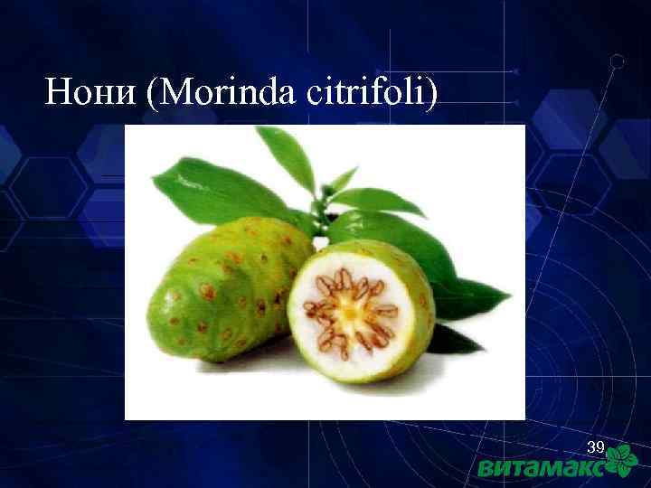 Нони (Morinda citrifoli) 39 